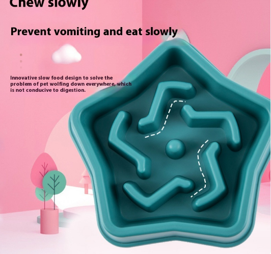 Healthy Pace Pet Bowl